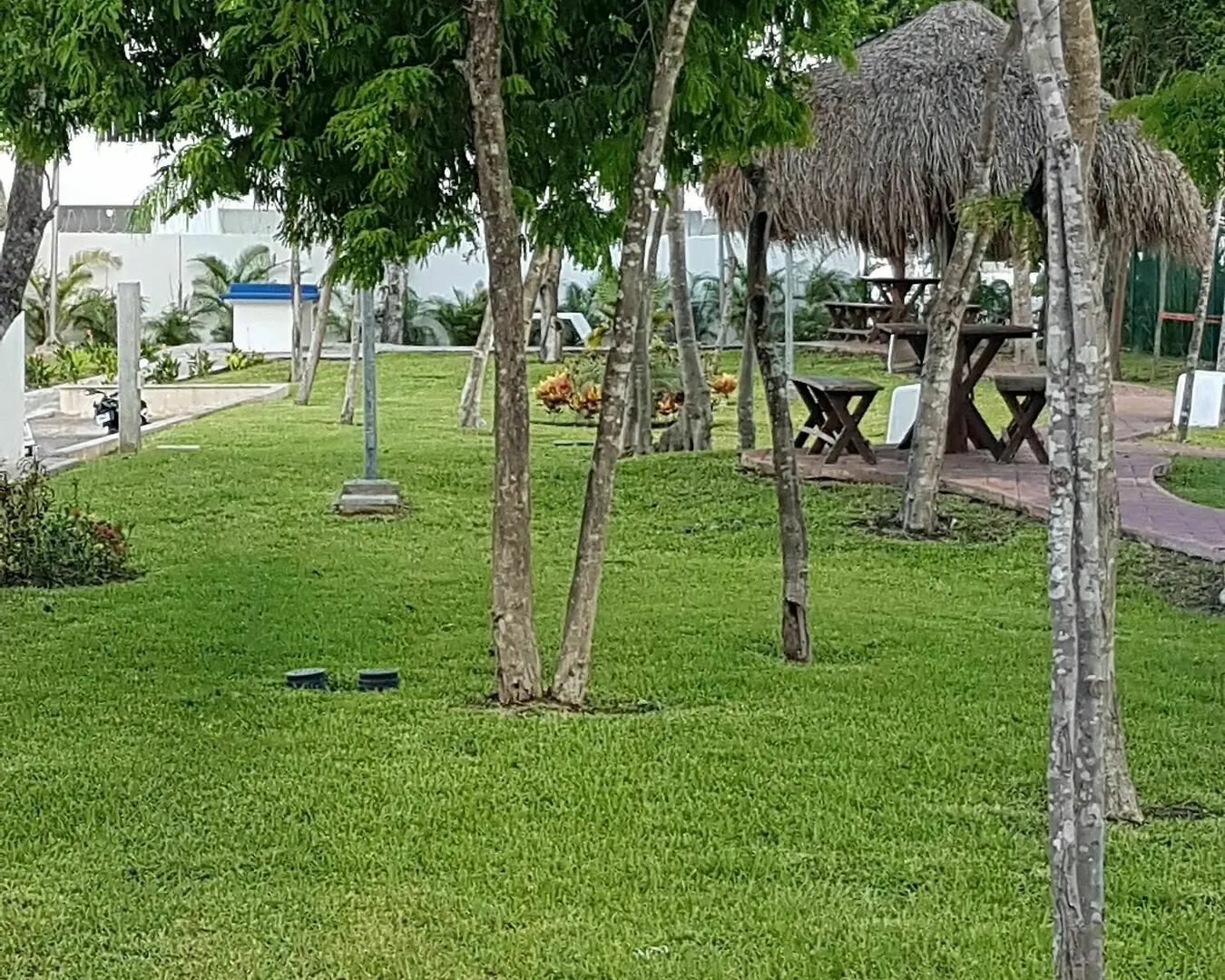 Suites Riviera Maya بلايا ديل كارمن فندق
